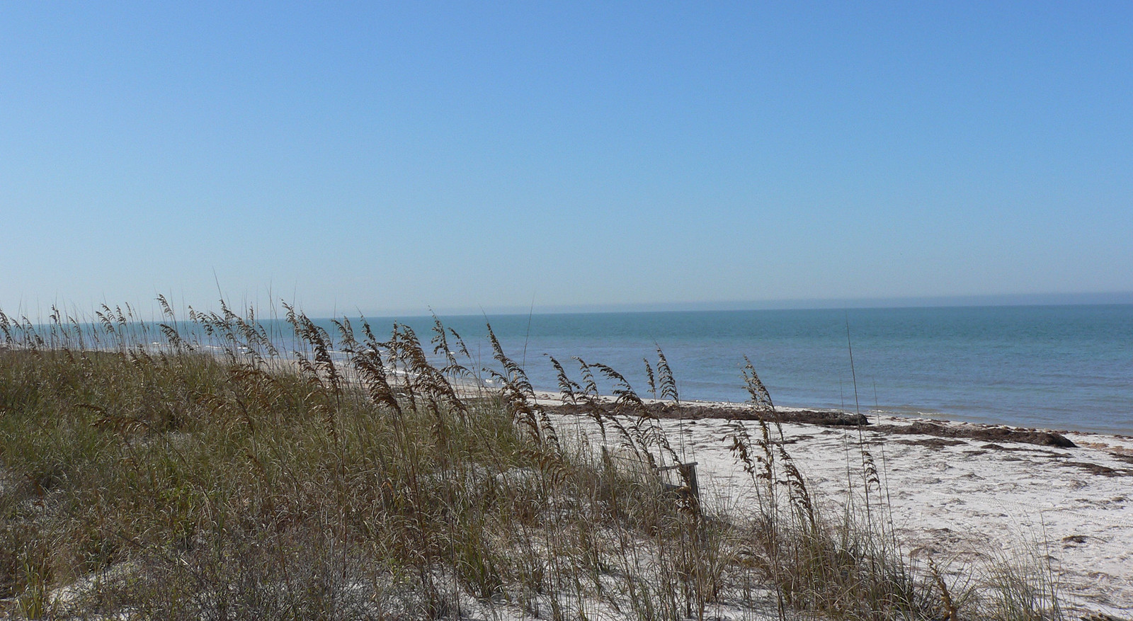 Caladesi Island