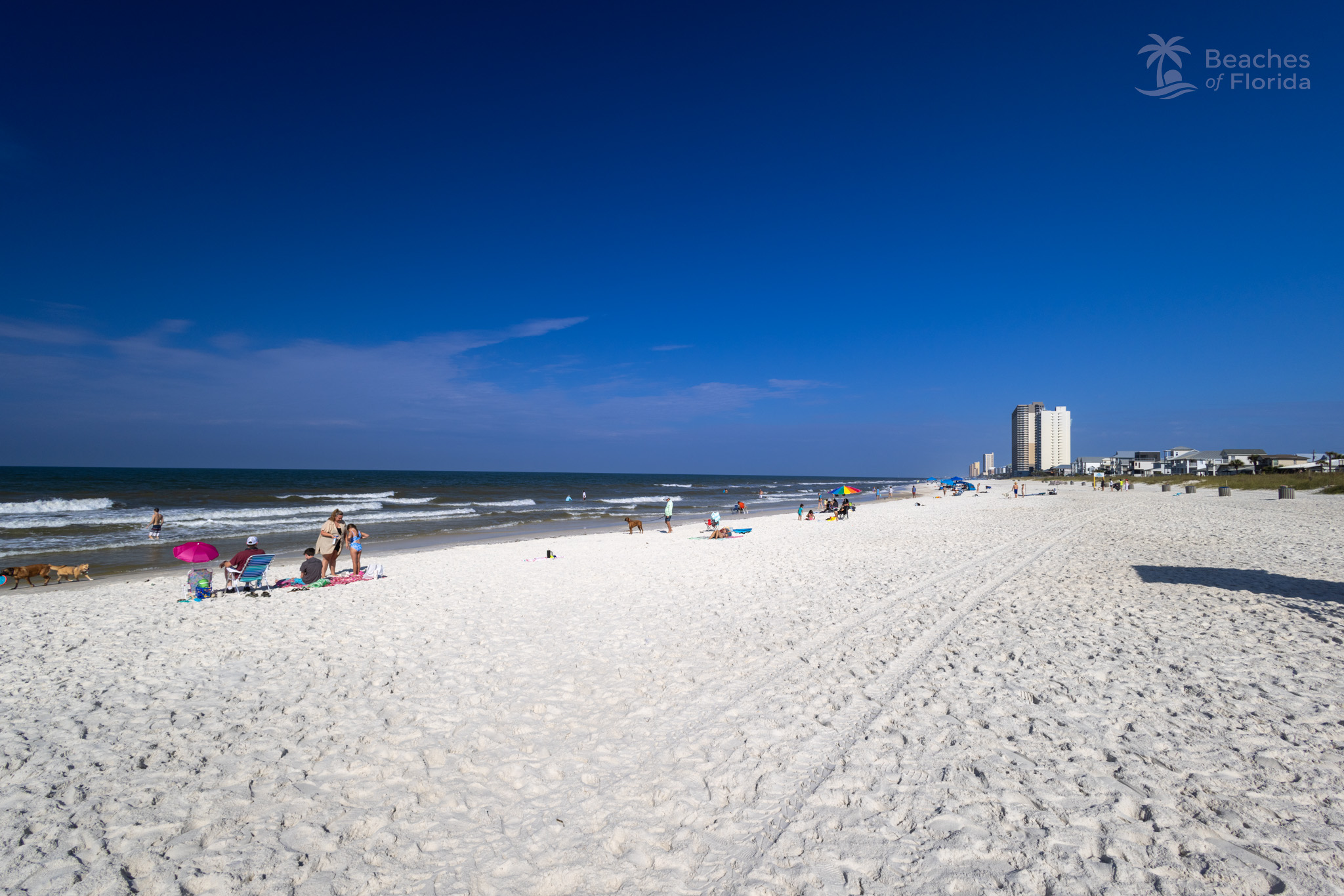 Beachgoers enjoying the white sand at Panama City Beach with condos in the distance